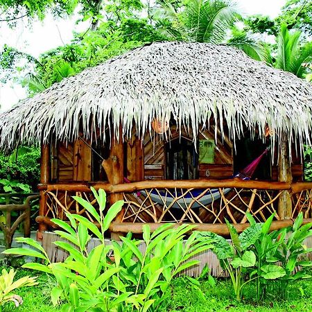 Hotel La Costa De Papito Puerto Viejo de Talamanca Luaran gambar