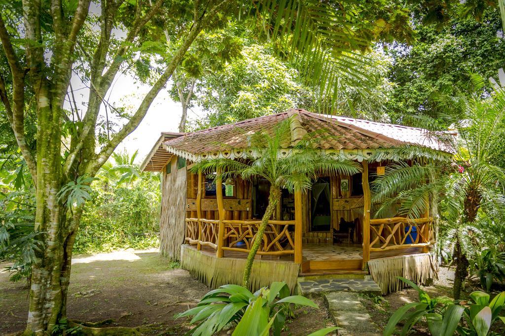 Hotel La Costa De Papito Puerto Viejo de Talamanca Bilik gambar