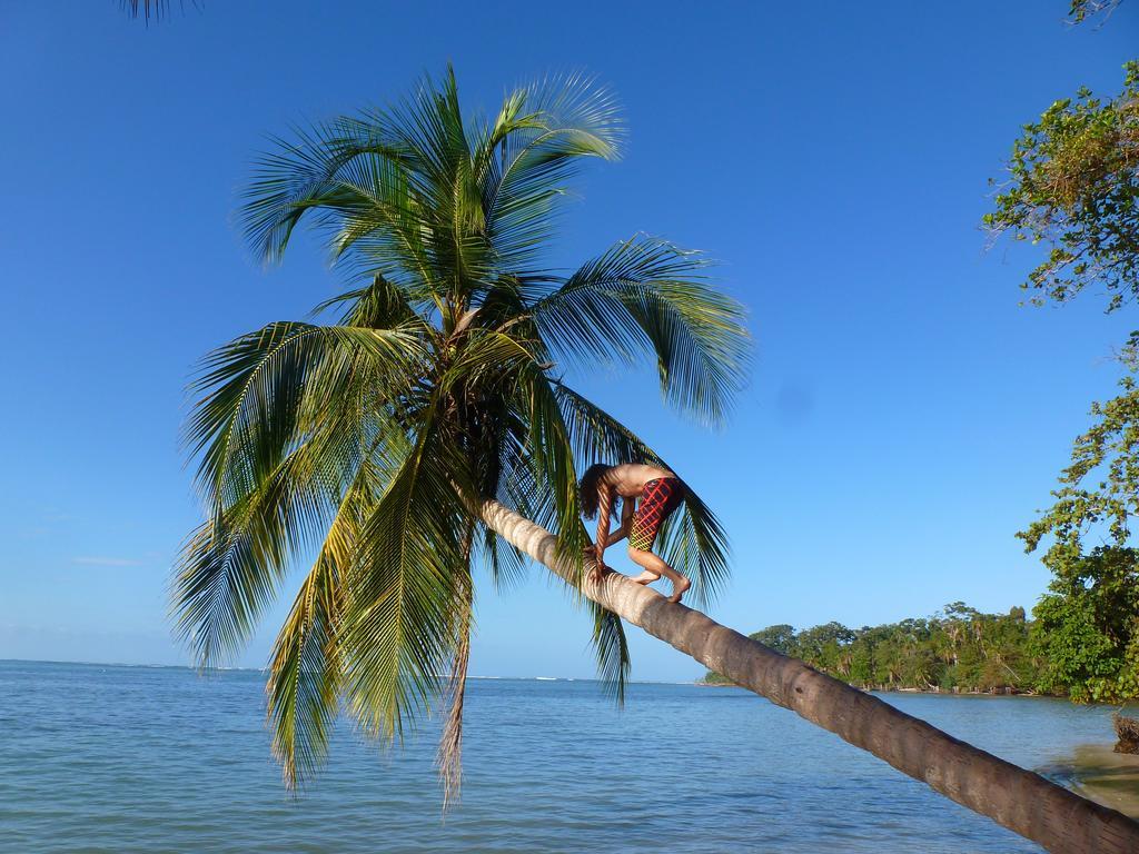 Hotel La Costa De Papito Puerto Viejo de Talamanca Luaran gambar