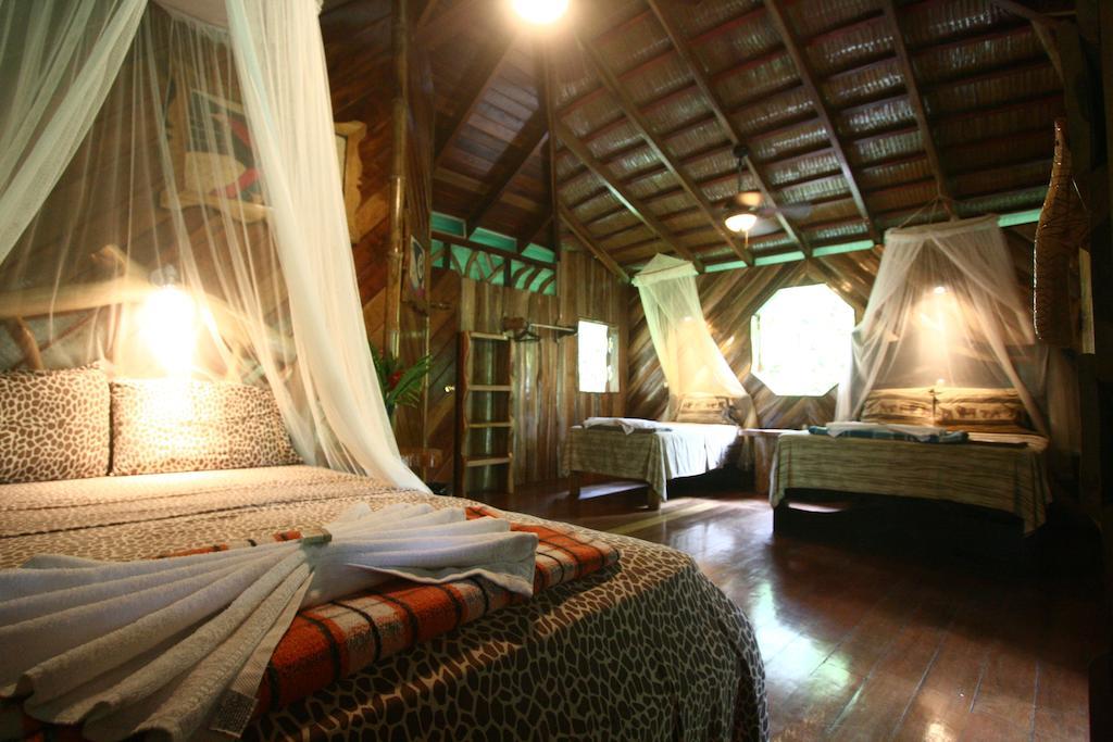 Hotel La Costa De Papito Puerto Viejo de Talamanca Bilik gambar