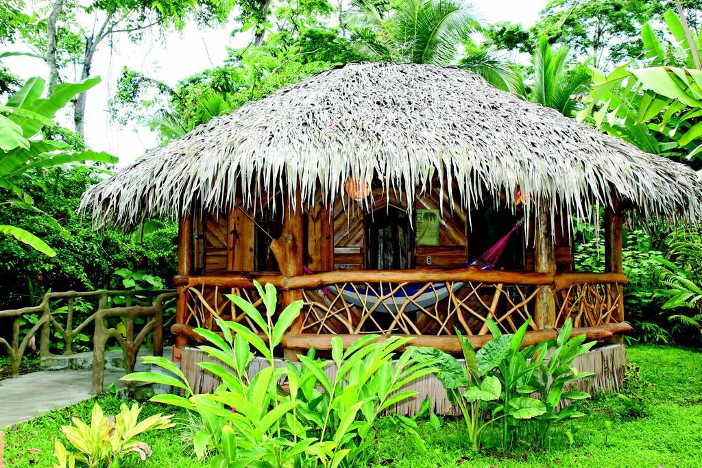 Hotel La Costa De Papito Puerto Viejo de Talamanca Luaran gambar
