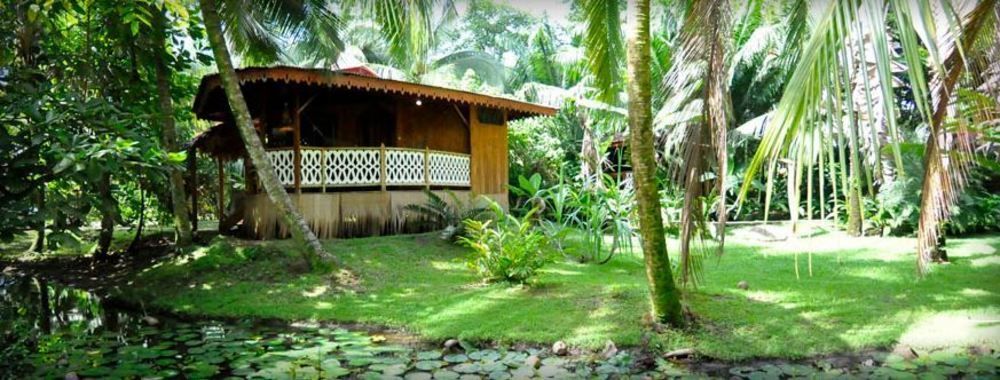 Hotel La Costa De Papito Puerto Viejo de Talamanca Luaran gambar