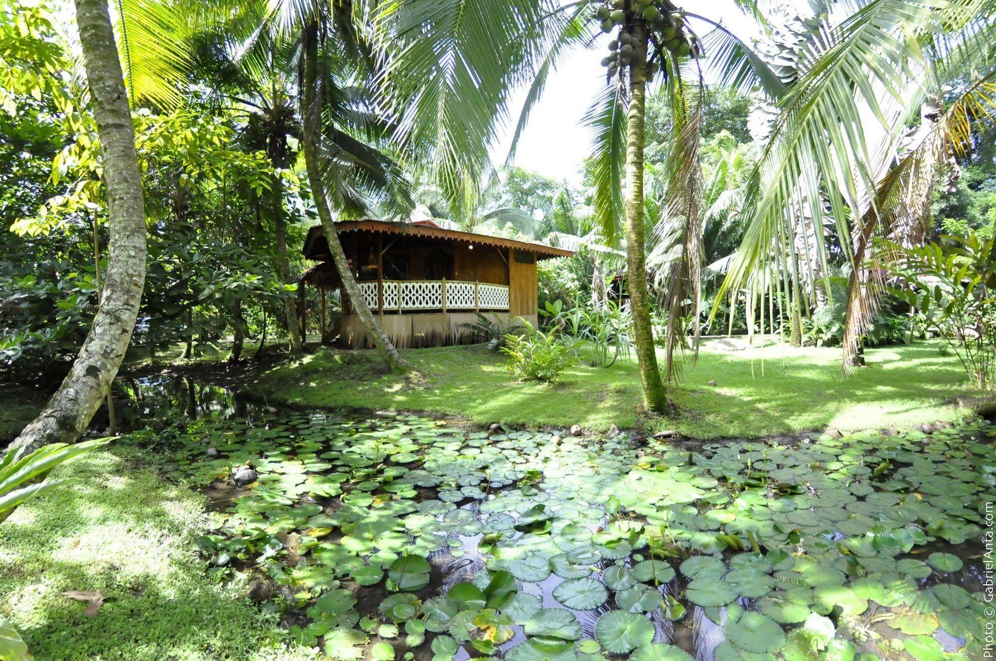 Hotel La Costa De Papito Puerto Viejo de Talamanca Luaran gambar