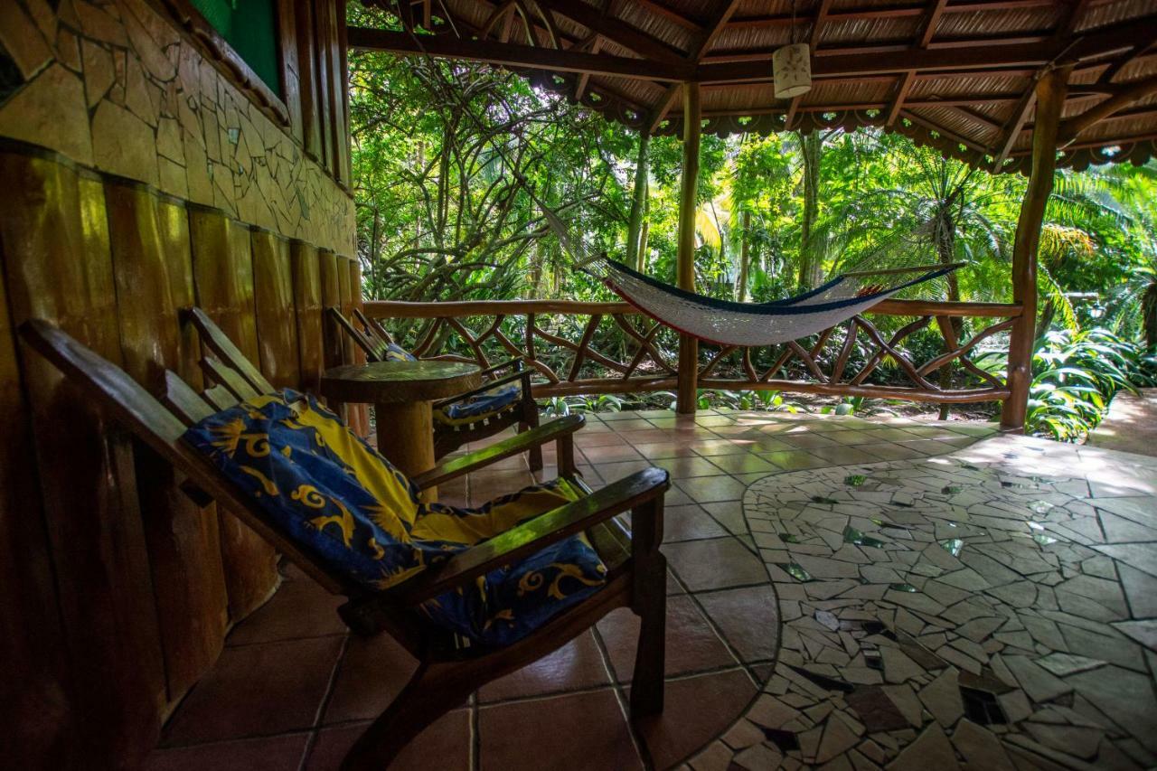 Hotel La Costa De Papito Puerto Viejo de Talamanca Luaran gambar